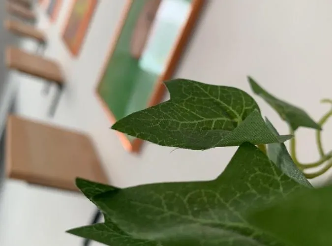 Holiday home Decouvrez L'inatten'bulle ! *